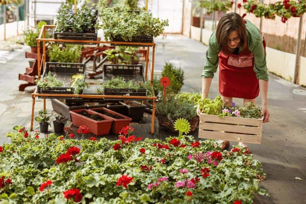 Seasonal Employees and ACA Compliance